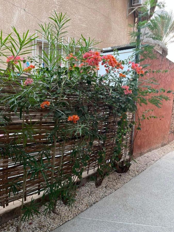 סאלי פורטודל Safari Village Case 29 מראה חיצוני תמונה